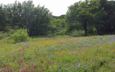 My Soul Yearns for You